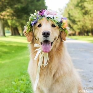 Meet your Posher, Jane